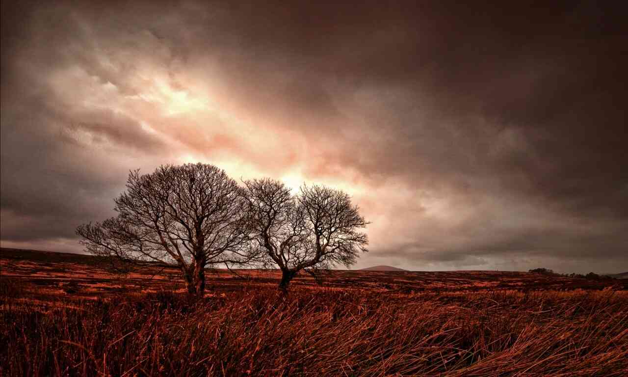 commercial plots in burhanpur